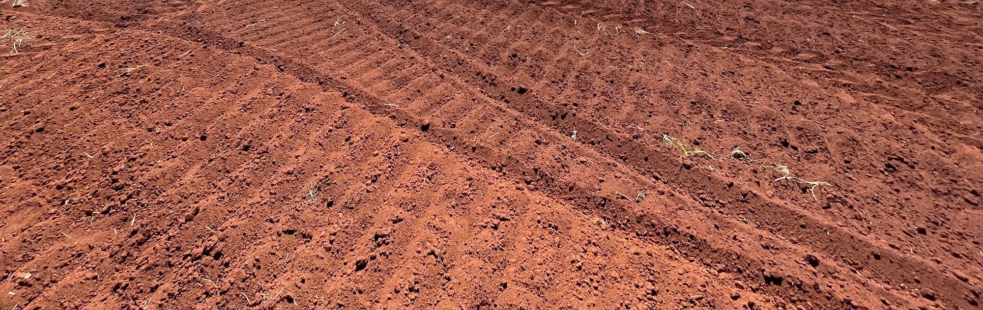 Beautiful Soil