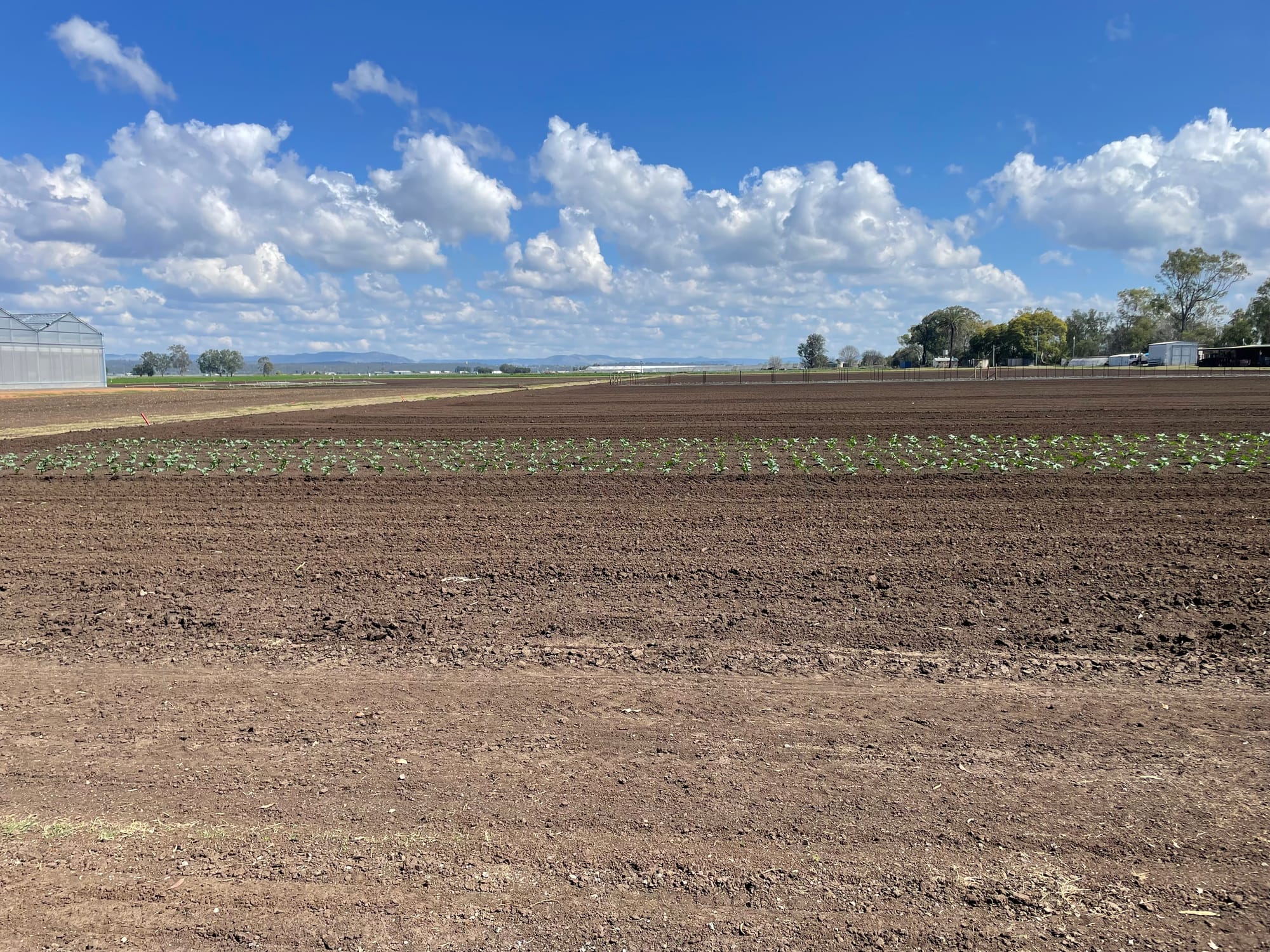 A flat and clear block of land with dark brown soil.